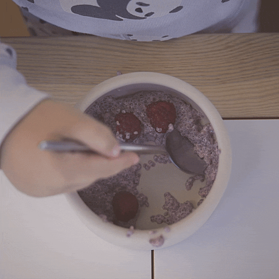 APLAINR Weighted Silicone Bowl for Babies and Toddlers APLAINR ️