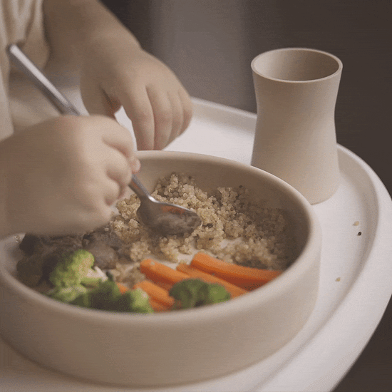 APLAINR Weighted Silicone Plate for Babies and Toddlers APLAINR ️